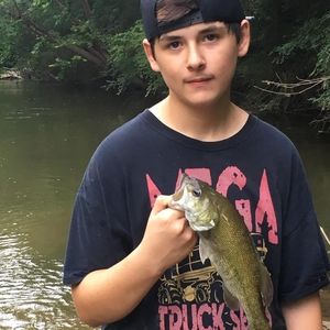 Meet your Posher, Jesse